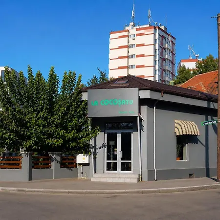 Апартаменты 2 Arcul De Triumf Kiseleff Quiet Area